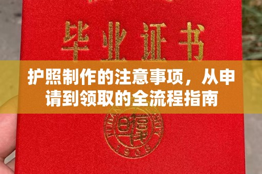 将乐护照制作的注意事项，从申请到领取的全流程指南