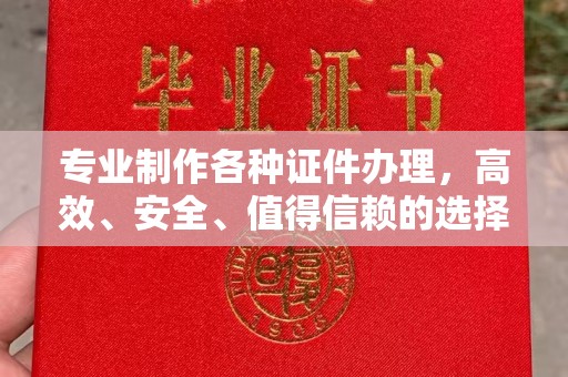 将乐专业制作各种证件办理，高效、安全、值得信赖的选择