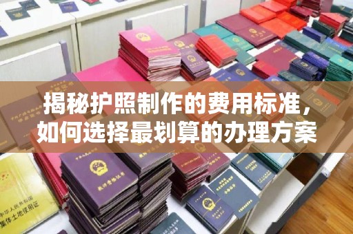 将乐揭秘护照制作的费用标准，如何选择最划算的办理方案？
