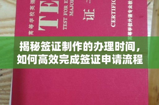 将乐揭秘签证制作的办理时间，如何高效完成签证申请流程