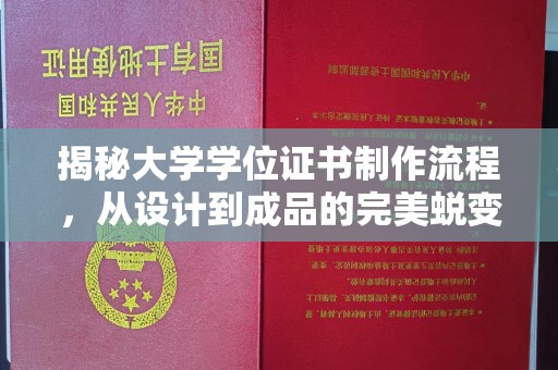 将乐揭秘大学学位证书制作流程，从设计到成品的完美蜕变