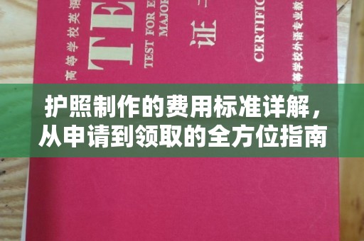 将乐护照制作的费用标准详解，从申请到领取的全方位指南