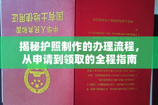 将乐揭秘护照制作的办理流程，从申请到领取的全程指南