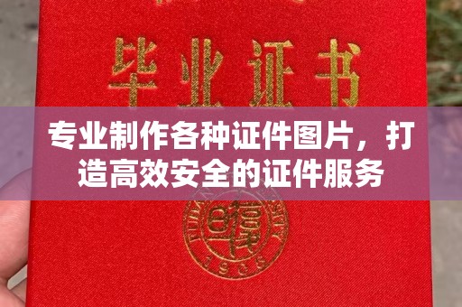 将乐专业制作各种证件图片，打造高效安全的证件服务