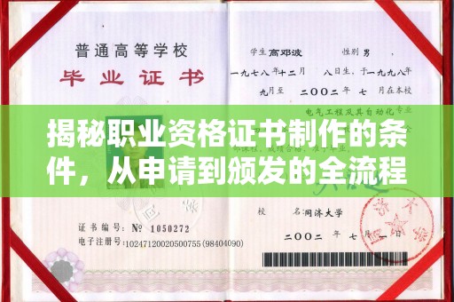 将乐揭秘职业资格证书制作的条件，从申请到颁发的全流程解析